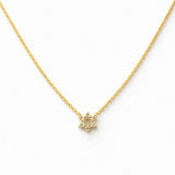 שרשרת זהב 14K מגן דוד